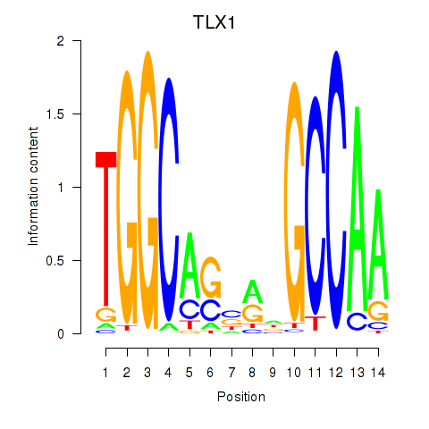 SeqLogo of TLX1_NFIC