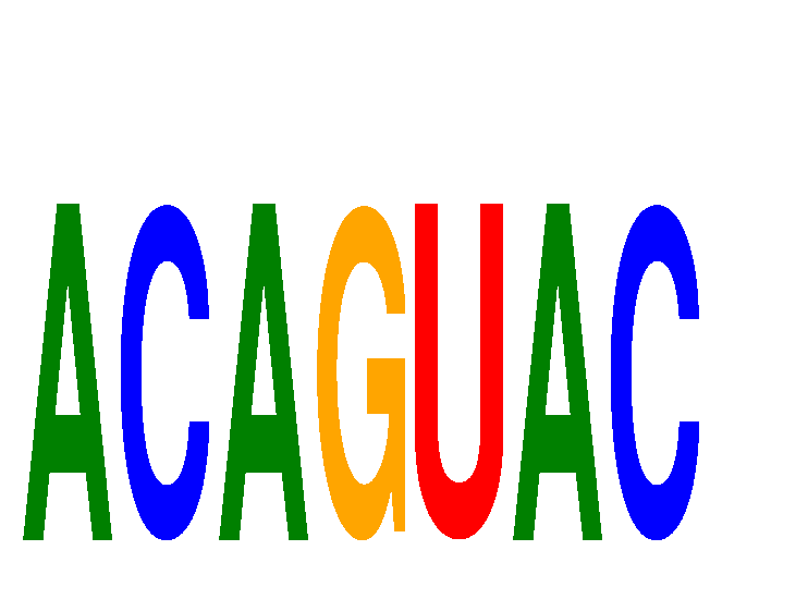 SeqLogo of ACAGUAC