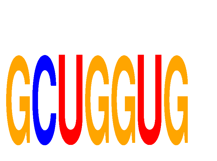 SeqLogo of GCUGGUG