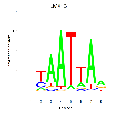 SeqLogo of LMX1B_MNX1_RAX2