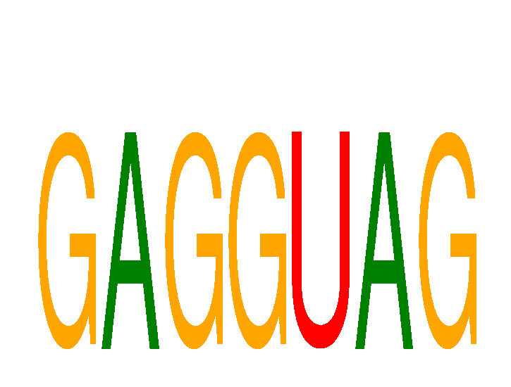 SeqLogo of GAGGUAG