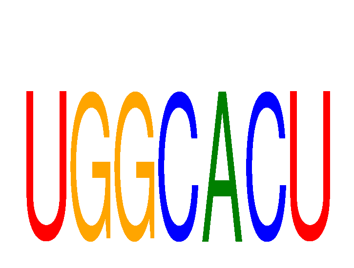 SeqLogo of UGGCACU
