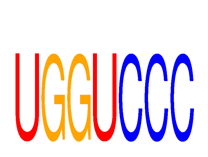 SeqLogo of UGGUCCC