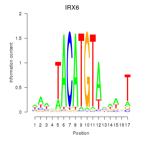 logo of IRX6