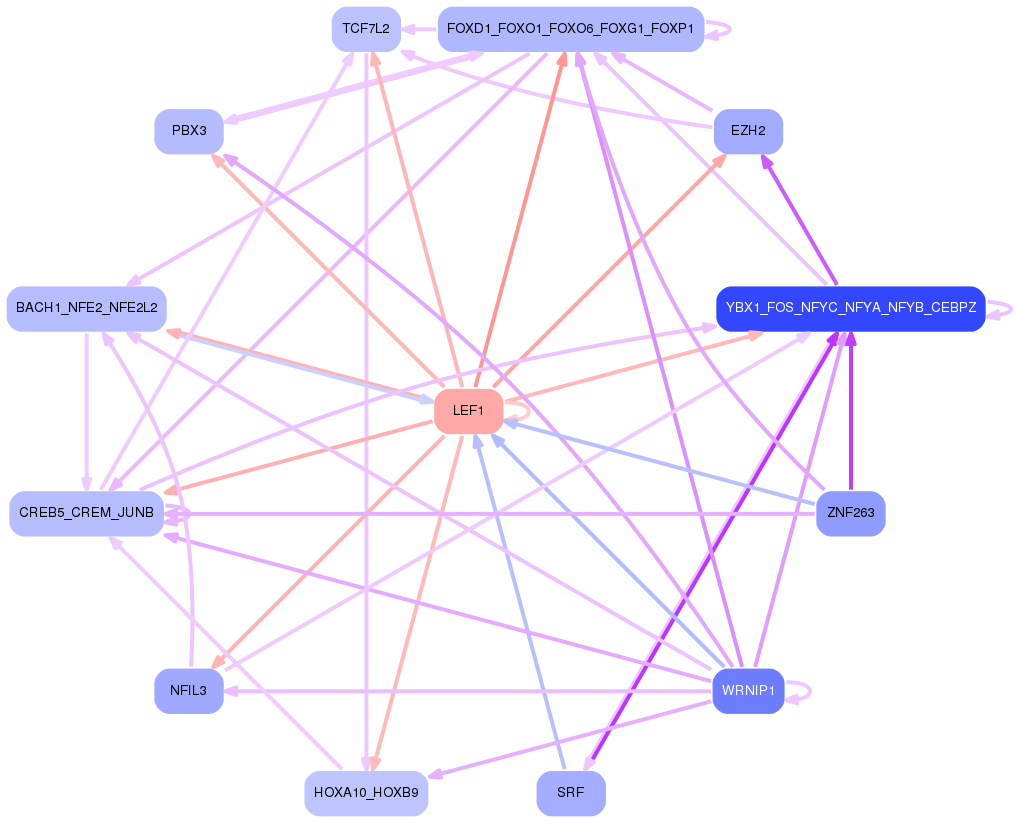PNG image of the network