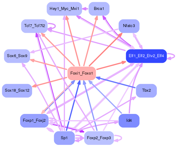 PNG image of the network