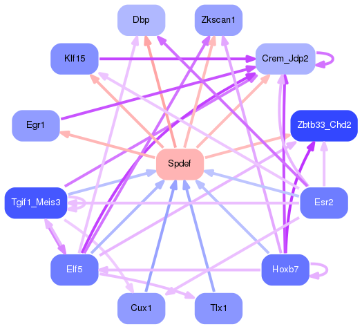 PNG image of the network