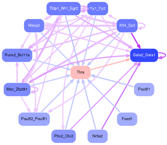 PNG image of the network