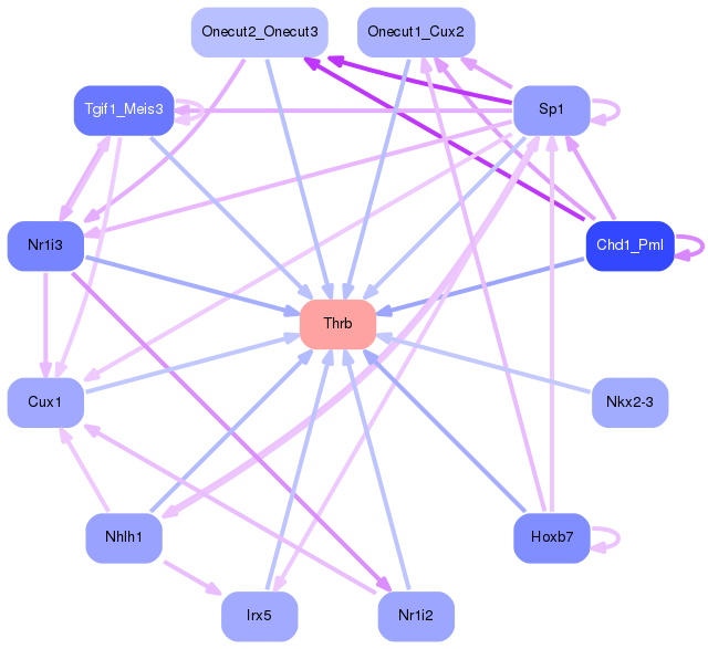 PNG image of the network