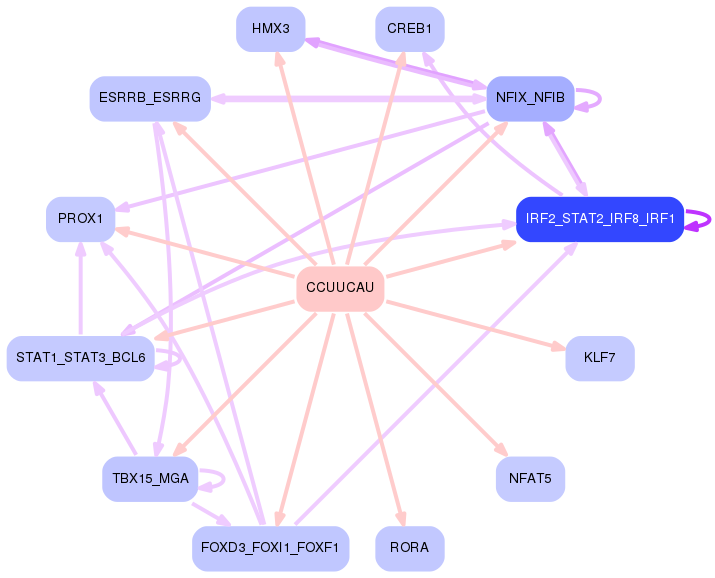 PNG image of the network