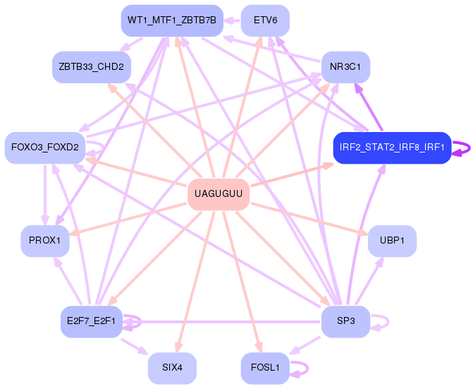 PNG image of the network