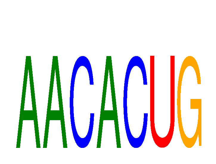 SeqLogo of AACACUG