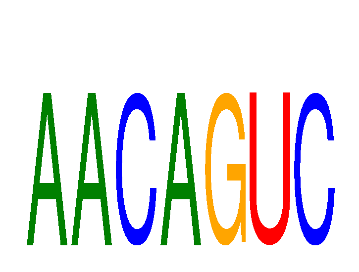 SeqLogo of AACAGUC