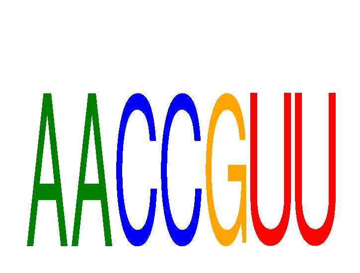 SeqLogo of AACCGUU