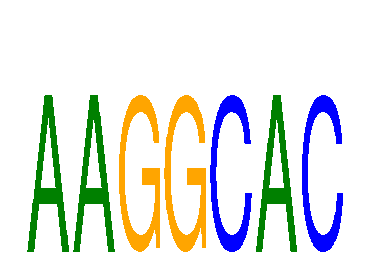 SeqLogo of AAGGCAC