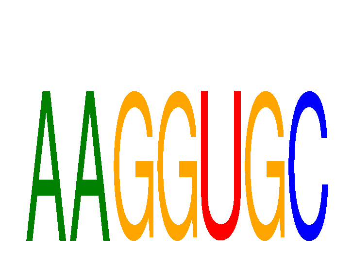 SeqLogo of AAGGUGC
