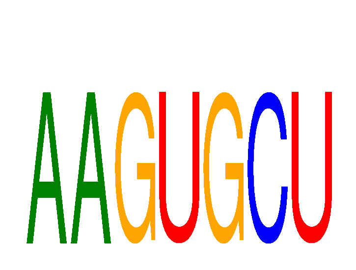 SeqLogo of AAGUGCU