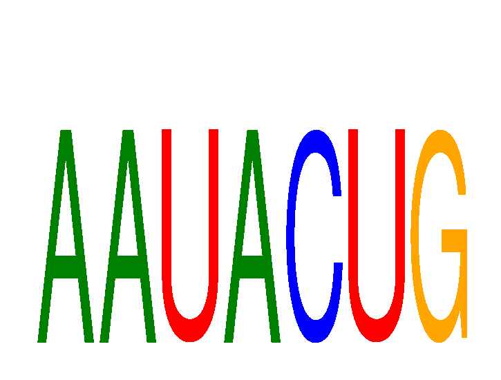 SeqLogo of AAUACUG