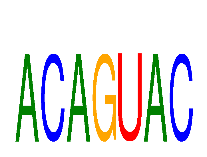 SeqLogo of ACAGUAC