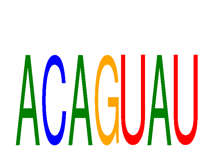 SeqLogo of ACAGUAU