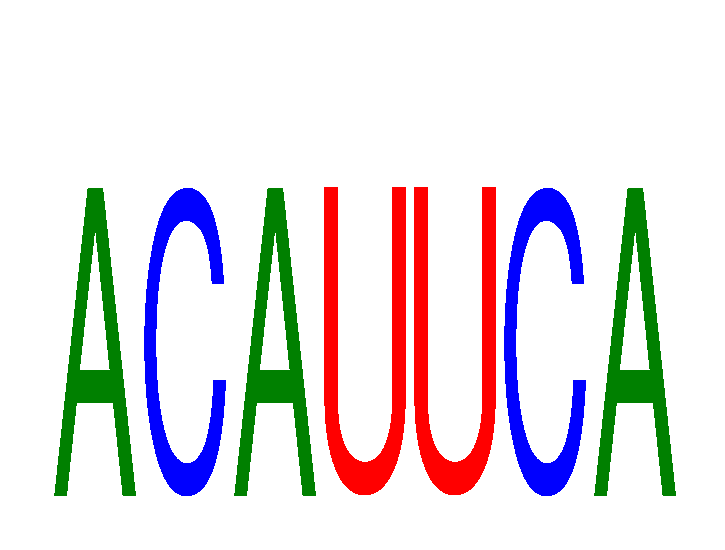 SeqLogo of ACAUUCA