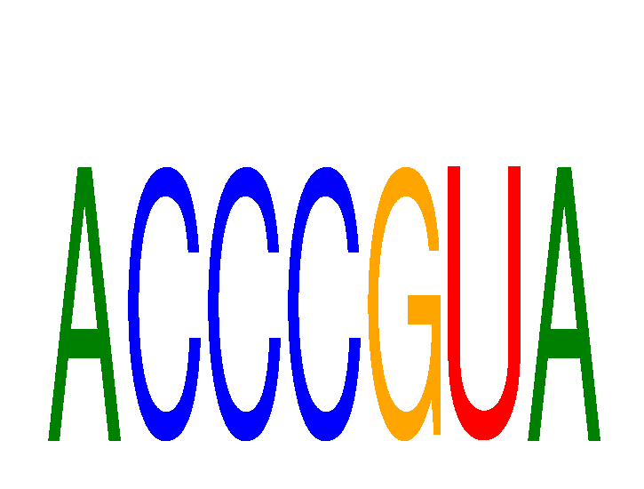 SeqLogo of ACCCGUA
