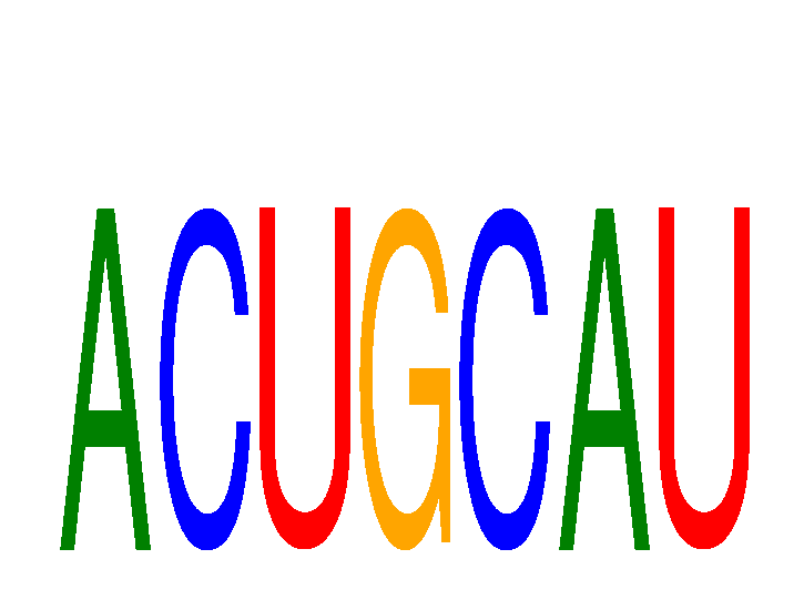 SeqLogo of ACUGCAU