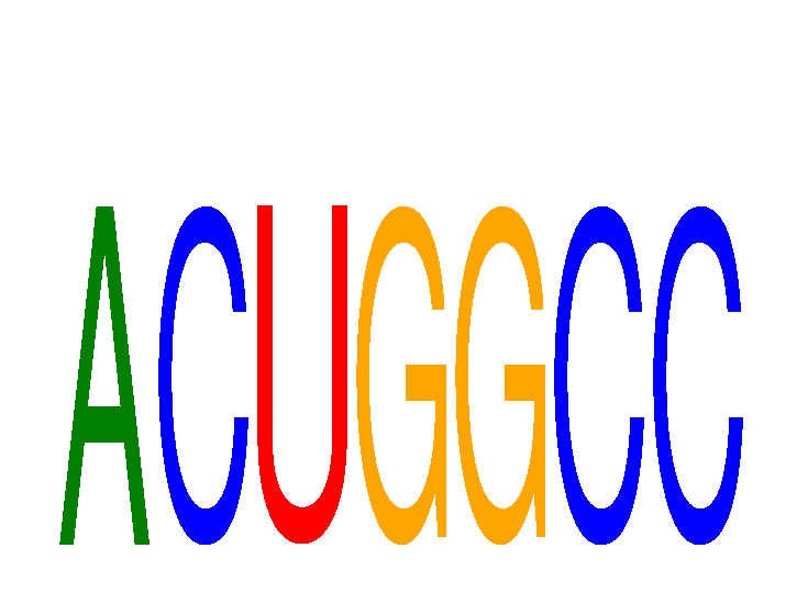 SeqLogo of ACUGGCC