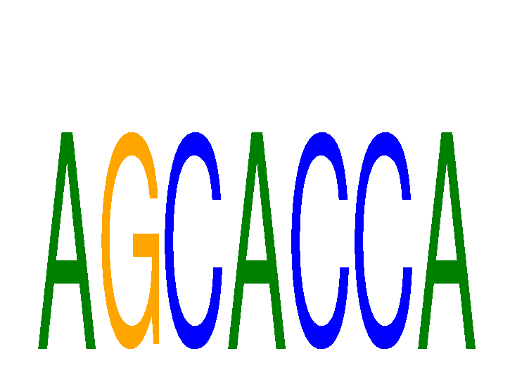 SeqLogo of AGCACCA