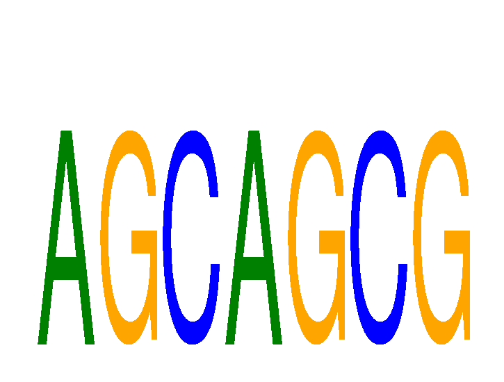 SeqLogo of AGCAGCG