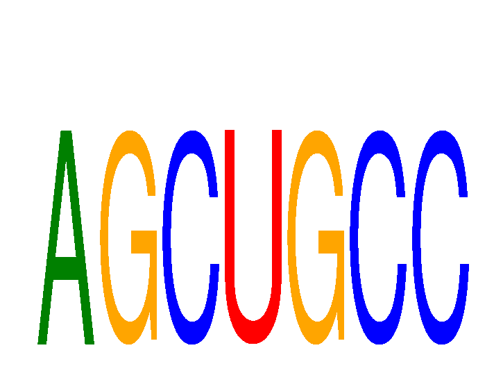 SeqLogo of AGCUGCC