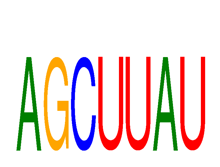 SeqLogo of AGCUUAU