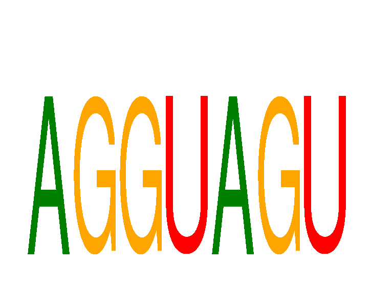 SeqLogo of AGGUAGU