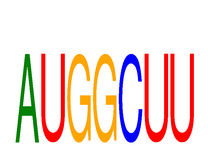 SeqLogo of AUGGCUU