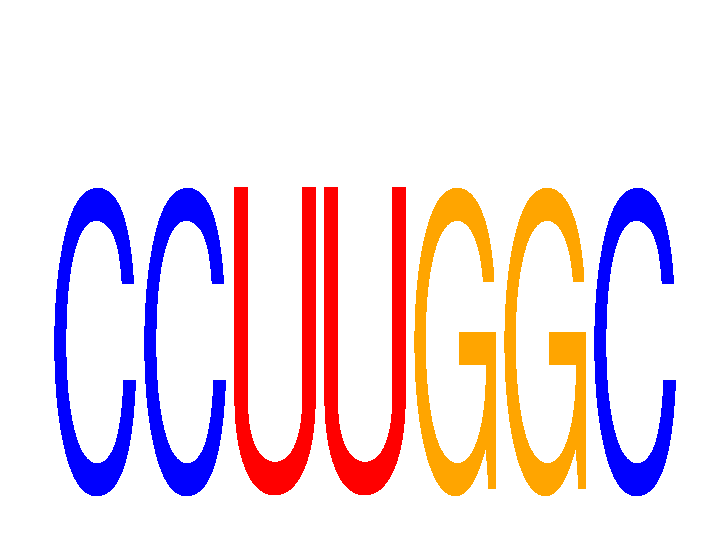 SeqLogo of CCUUGGC