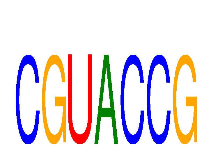 SeqLogo of CGUACCG