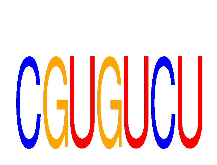 SeqLogo of CGUGUCU