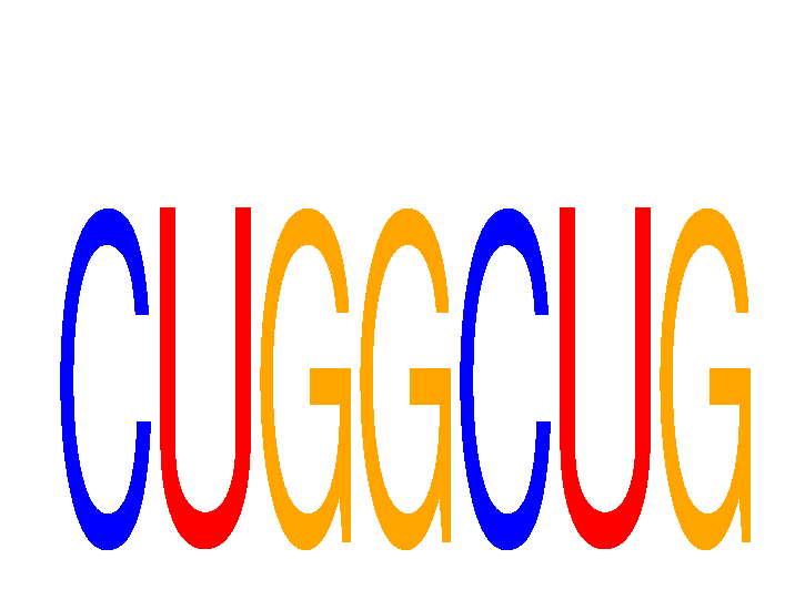 SeqLogo of CUGGCUG