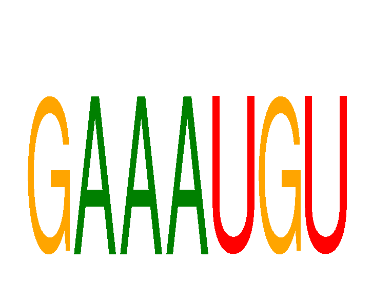 SeqLogo of GAAAUGU