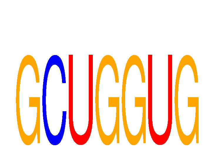 SeqLogo of GCUGGUG