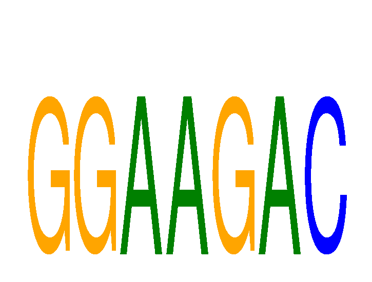 SeqLogo of GGAAGAC