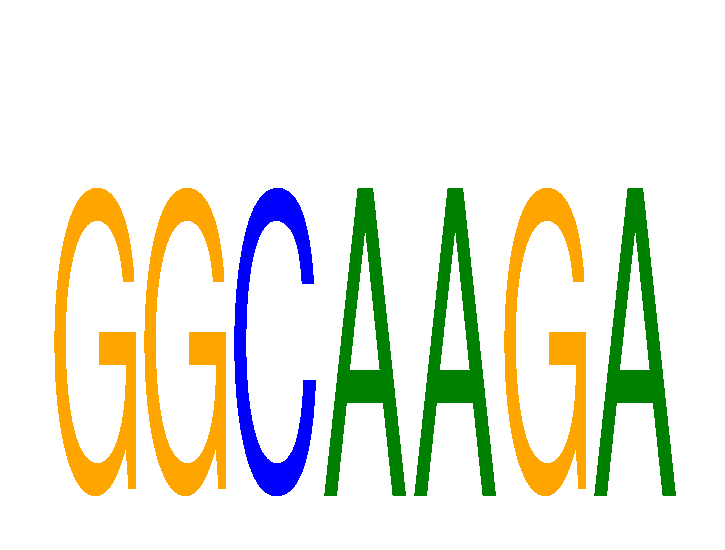 SeqLogo of GGCAAGA