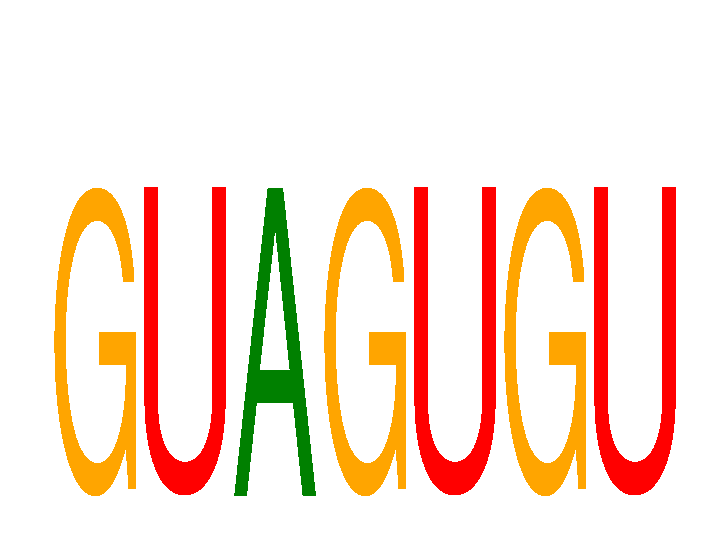 SeqLogo of GUAGUGU