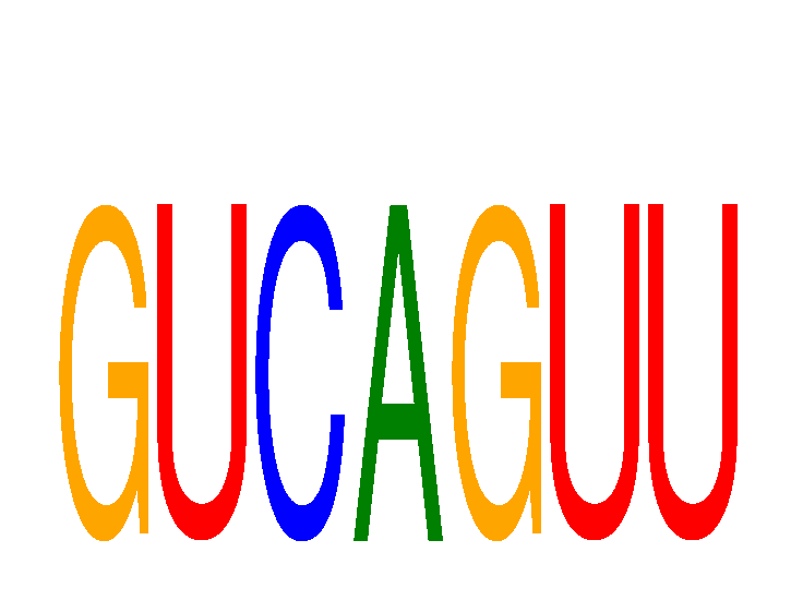 SeqLogo of GUCAGUU