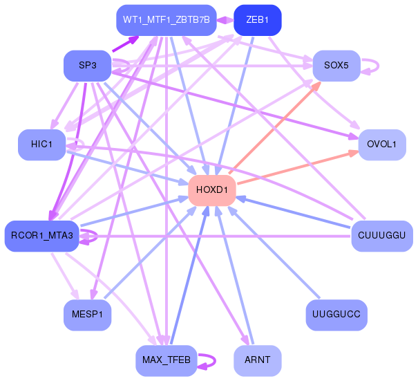 PNG image of the network