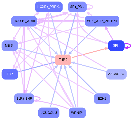 PNG image of the network