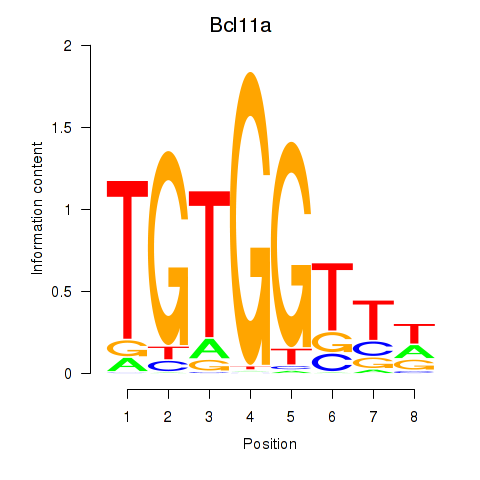 logo of Bcl11a