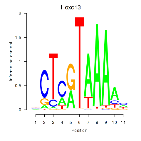 logo of Hoxd13