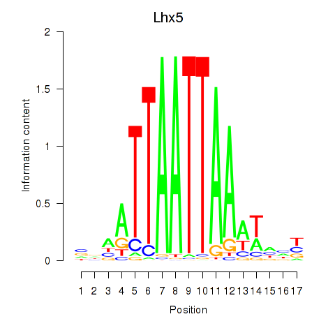 logo of Lhx5