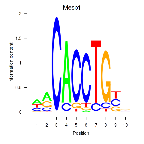 logo of Mesp1